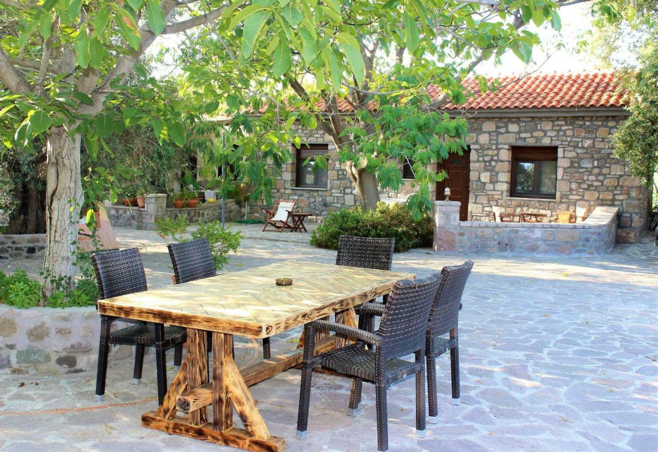 מית'ימנה Nadia Apartments מראה חיצוני תמונה