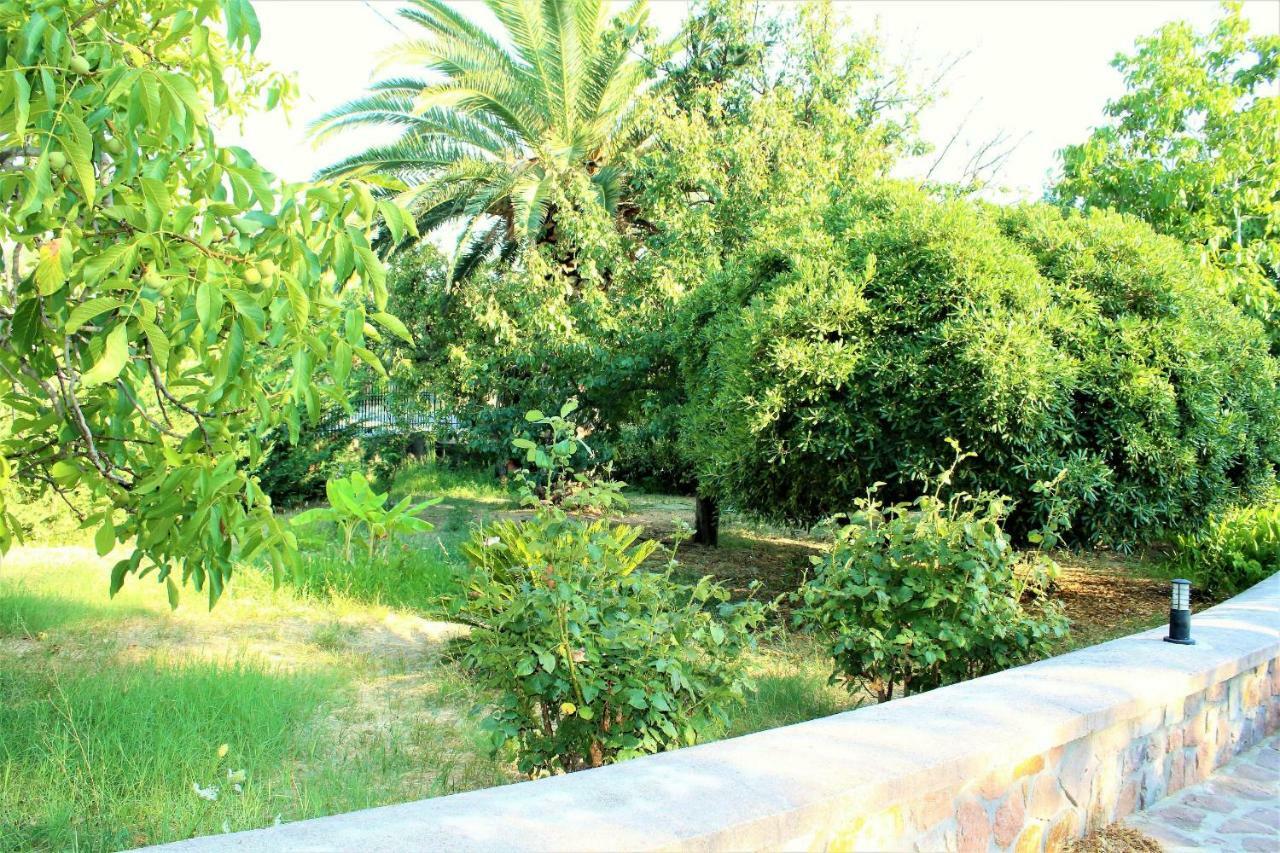 מית'ימנה Nadia Apartments מראה חיצוני תמונה