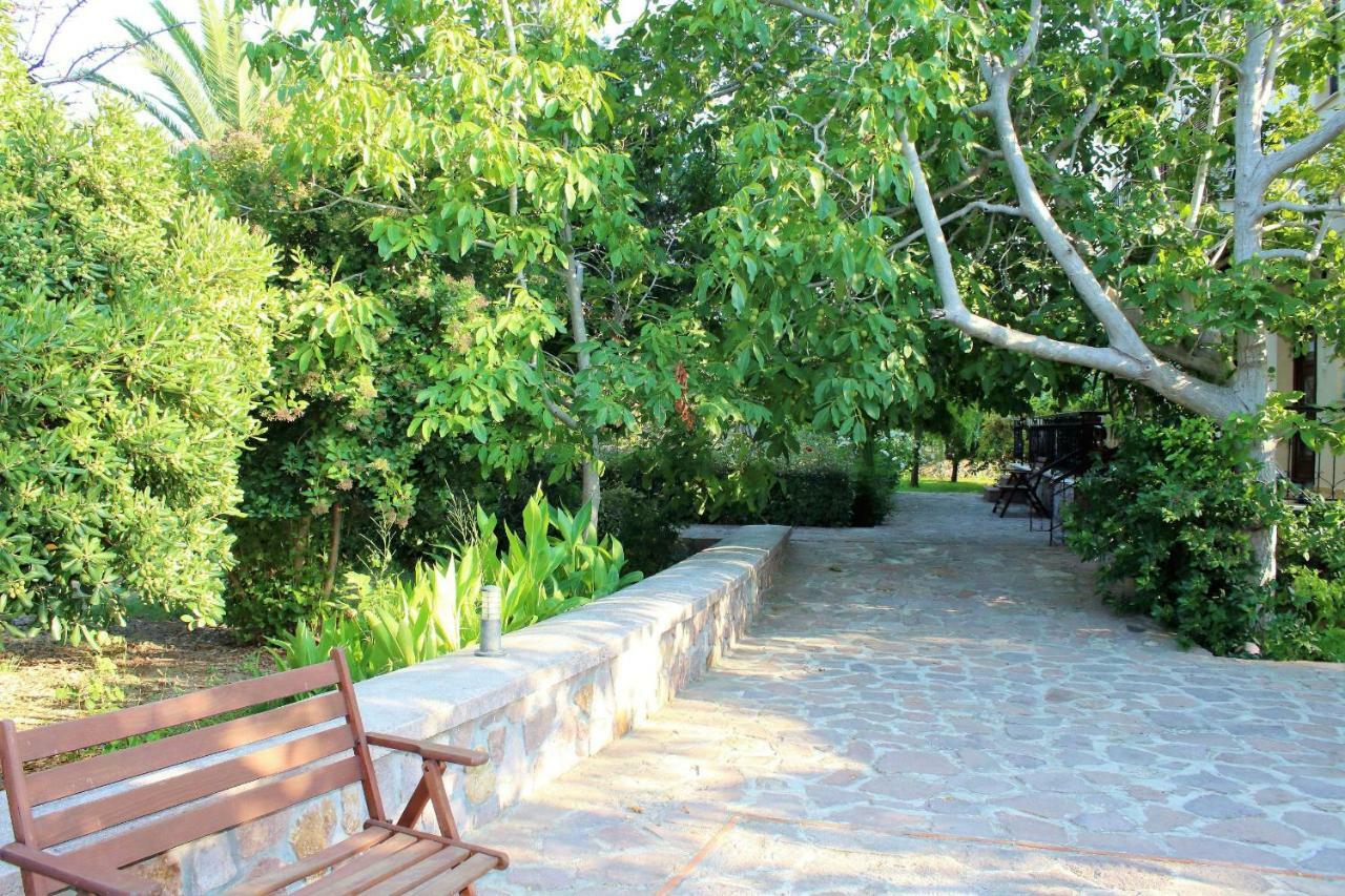 מית'ימנה Nadia Apartments מראה חיצוני תמונה